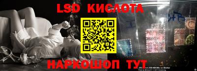 молекула духа Ефремов
