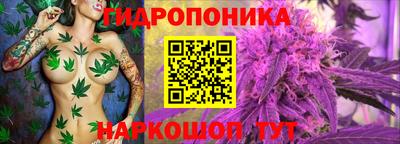 молекула духа Ефремов