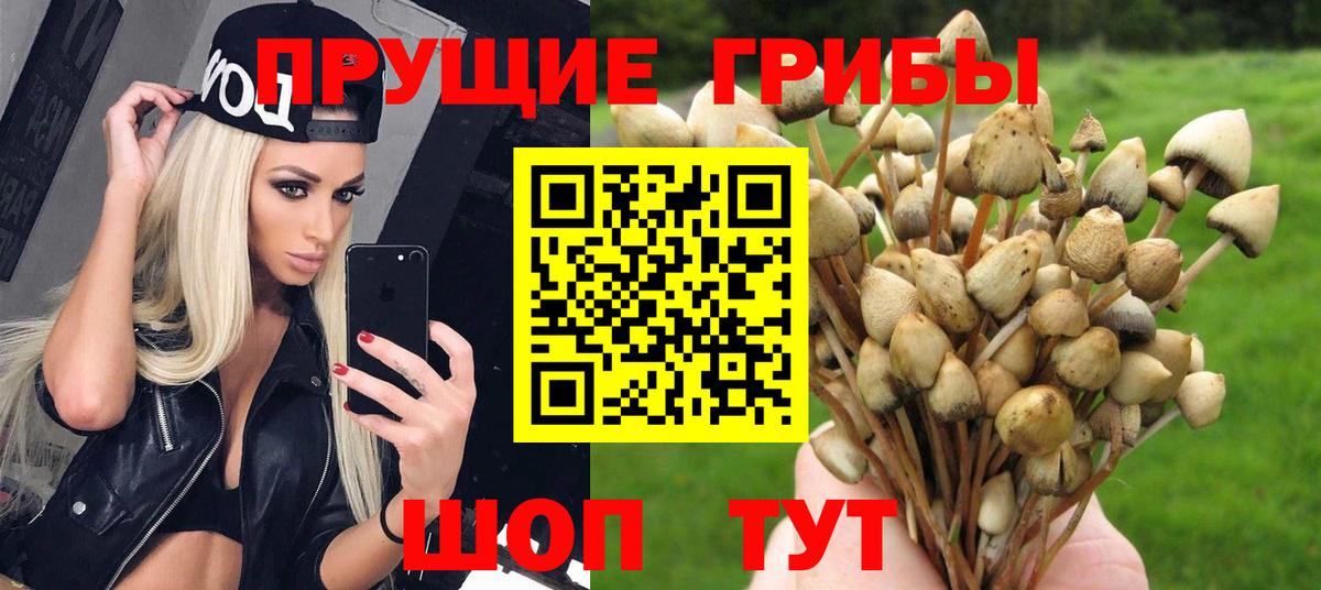Галлюциногенные грибы Psilocybe  Галлюциногенные грибы MAGIC MUSHROOMS  Вход с VPN  продажа наркотиков  Чебаркуль 