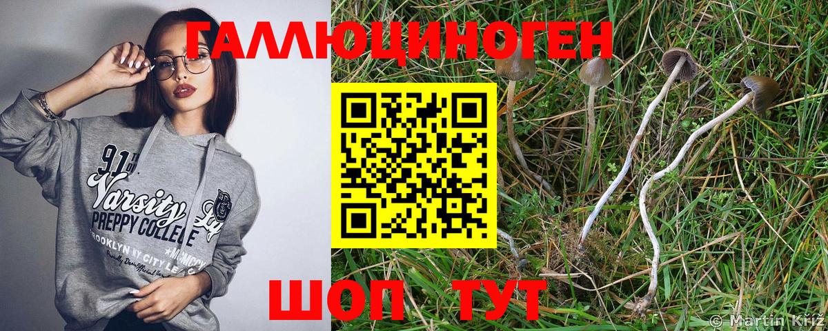Псилоцибиновые грибы ЛСД Чебаркуль
